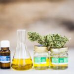 How does CBD make you feel - voozon.com