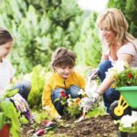 OMGChat: 10 Top OMGChat Alternatives [Free]