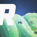 r vs py - voozon.com