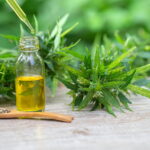 bigstock Cbd Oil Hemp Products Medicin 302592454 - voozon.com