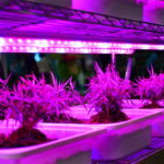 LED grow light - voozon.com