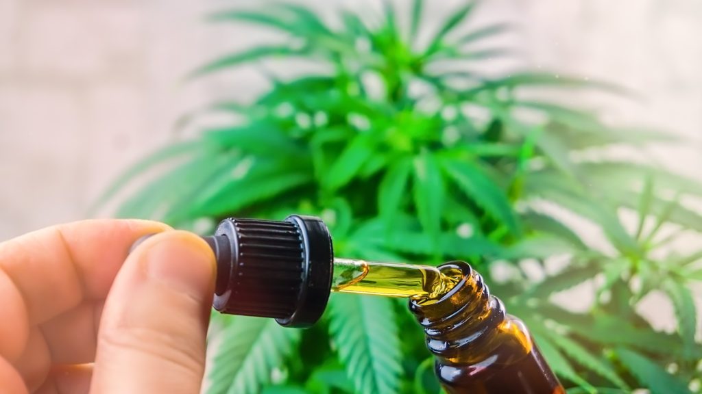 CBD Pre Rolls Vs. Oil: Which Is The Better Option? 