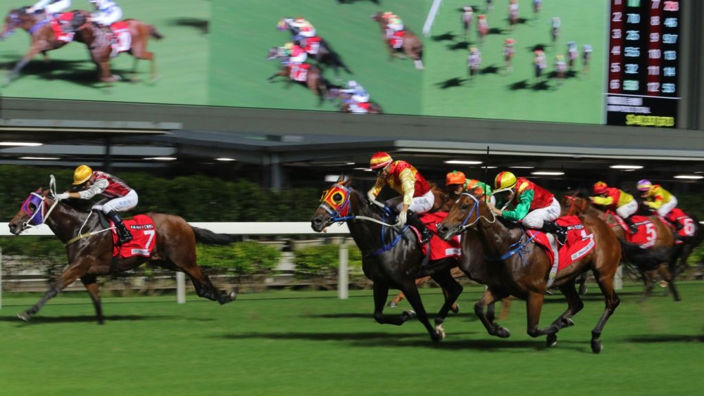 What is so Beloved About the Horse Races