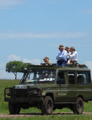 safari 5118716 1920 - voozon.com