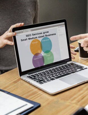 small business seo agency india - voozon.com
