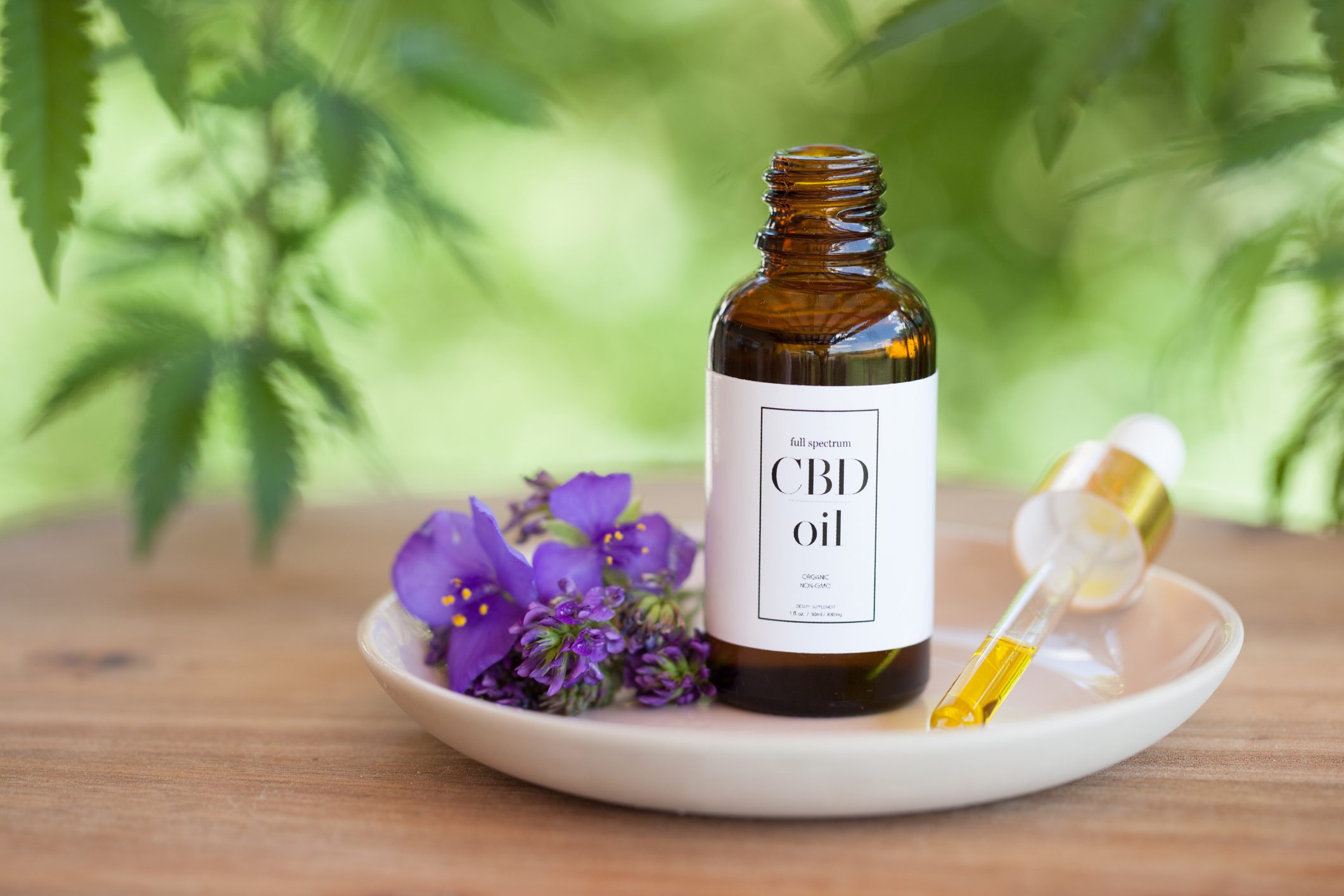 Have You Tried CBD with Terpenes?