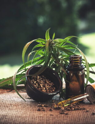 cbd 4469987 1920 1 - voozon.com