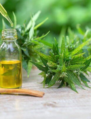 bigstock Cbd Oil Hemp Products Medicin 302592454 - voozon.com