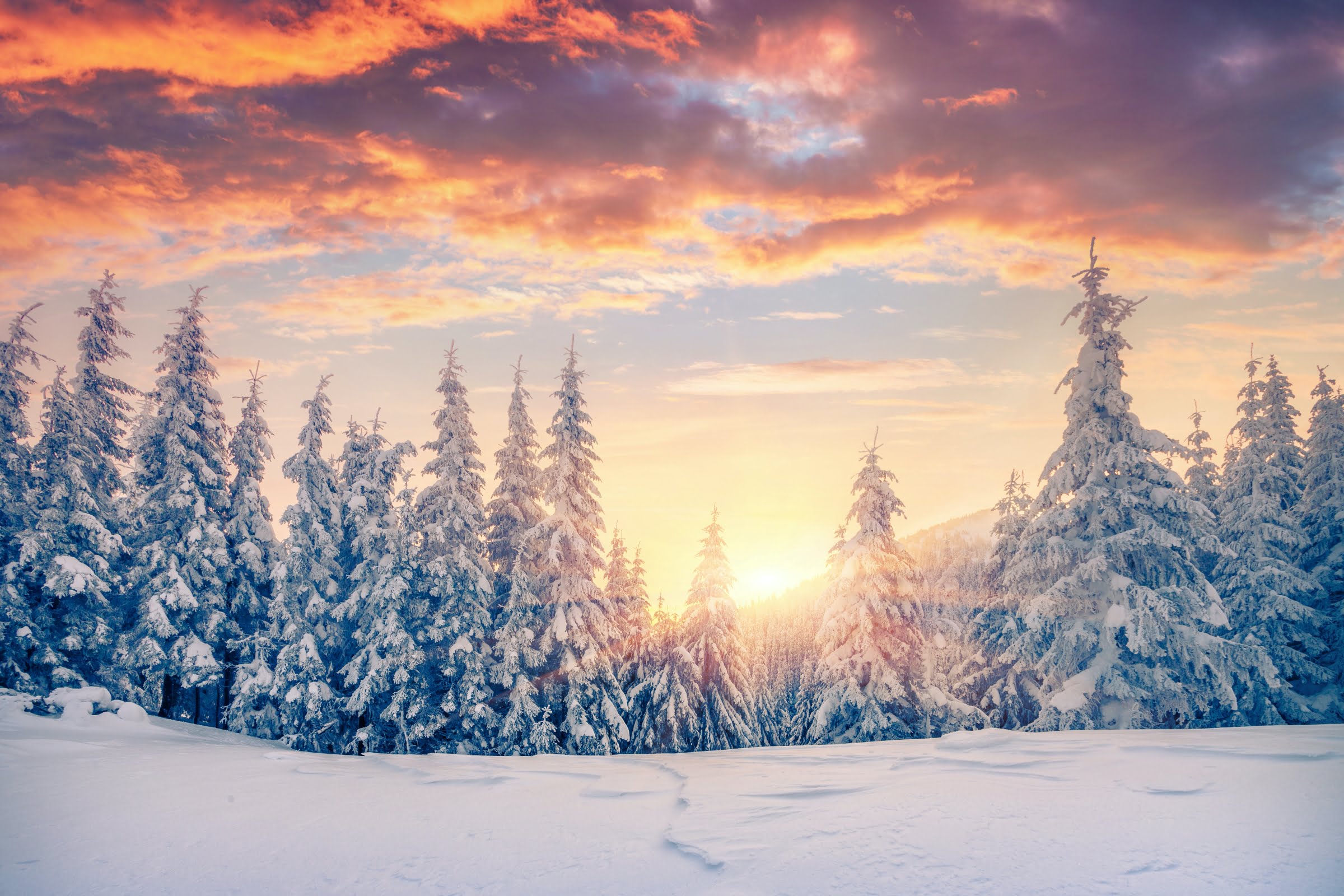 What I’m Most Looking Forward to This Winter