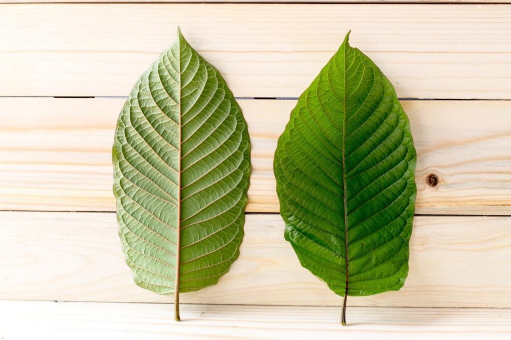 How To Find Kratom For Sale Near Me