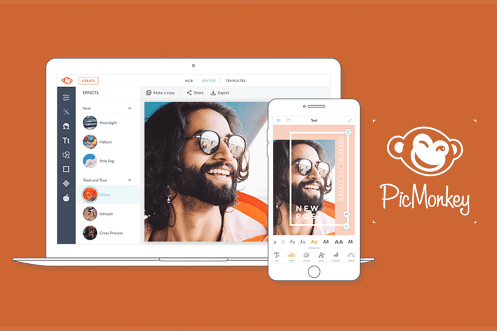 Download These 4 Android Apps to Become an Instagram Star 4 PicMonkey