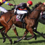 horse racing - voozon.com