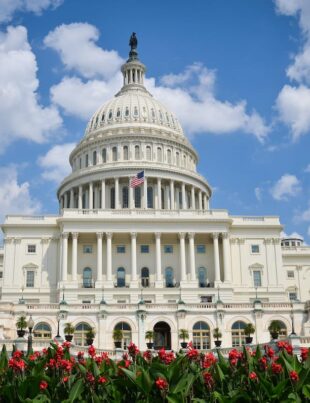 A First Time Guide To Visiting Washington DC - voozon.com