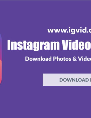 igvid instagram video downloader - voozon.com