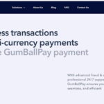 GumBallPay Review – How good are this Companys High Risk Processing Solutions - voozon.com