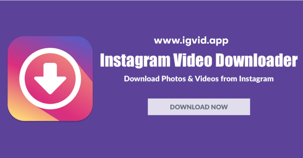 Accident Lawyer Dallas : Your Trusted Advocate for Justice 2 igvid instagram video downloader