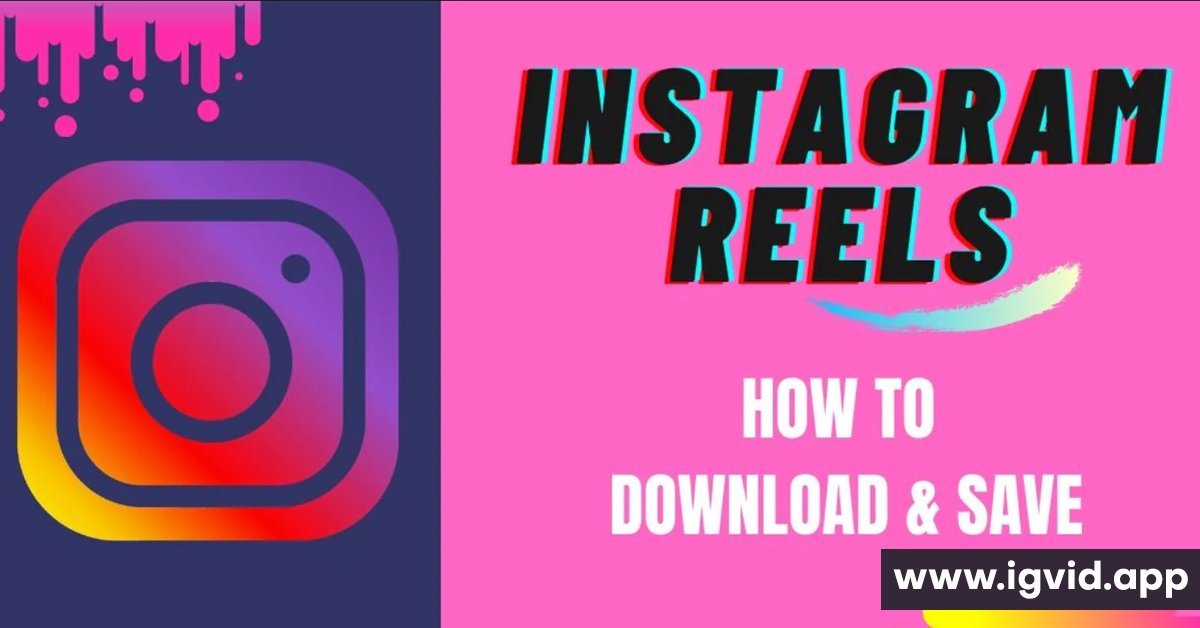 Instagram Downloader : Effortlessly Download and Save Instagram Media 2 igvid.app instagram reels downloader