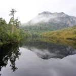 Discovering the Rugged Beauty of Tasmanias Wilderness - voozon.com