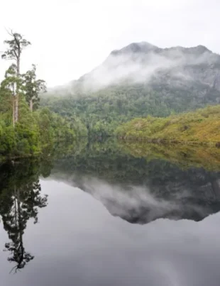 Discovering the Rugged Beauty of Tasmanias Wilderness - voozon.com
