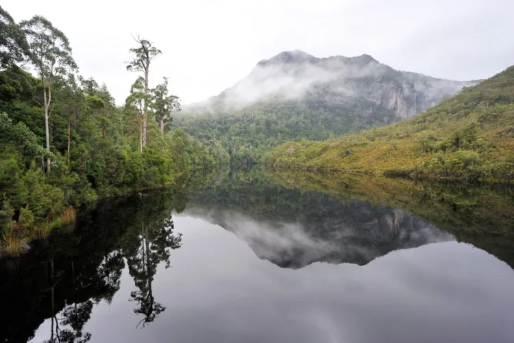 Discovering the Rugged Beauty of Tasmanias Wilderness - voozon.com