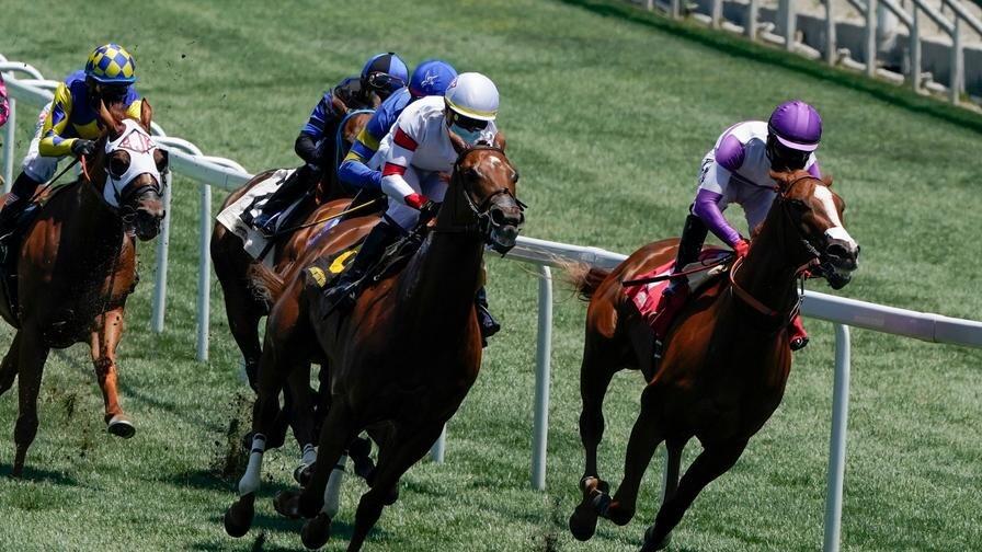 Golden Slipper Favorites An In-Depth Look at the Top Contenders