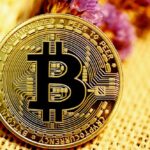 Regulatory Rundown Bitcoin in the Eyes of Governments - voozon.com