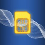 The US Tech Support Efficiency Blueprint: Mastering Request Management for Faster Resolutions