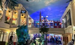 Educational Fun at KidZania and Thrilling Adventures at Universal Studios