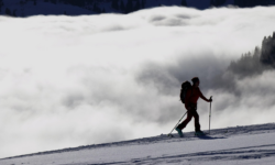 Enhance Cardiovascular Health Through Engaging Snowsports Activities