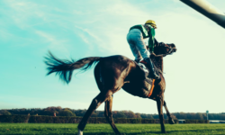 Online Horse Betting, Simplified: A Modern Guide to Enjoying the Sport