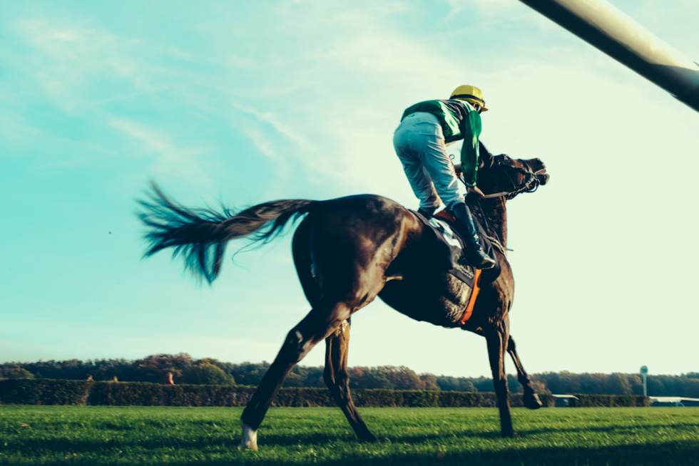 Online Horse Betting, Simplified: A Modern Guide to Enjoying the Sport