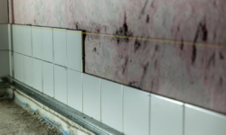 Comprehensive Guide to Effective Flood Water Damage Restoration