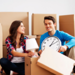 Scaling Your Online Store: How a Shopify Developer and PPC Expert Can Double Your ROI