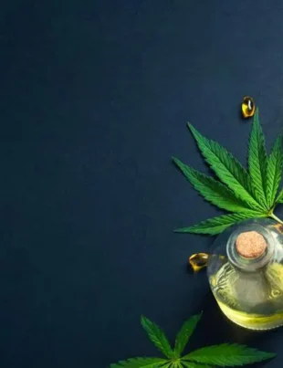 How to Choose a CBD Format That Fits Your Lifestyle.jpeg - voozon.com