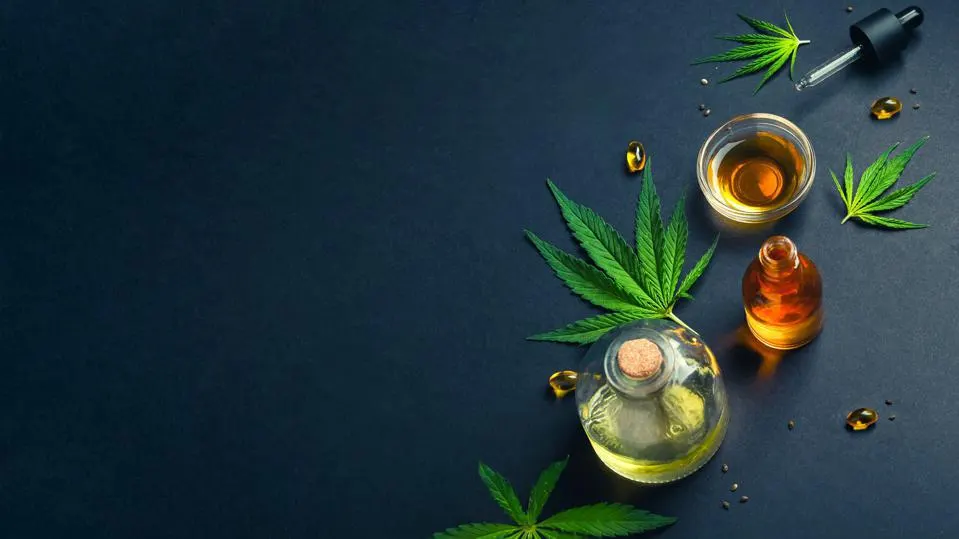 How to Choose a CBD Format That Fits Your Lifestyle