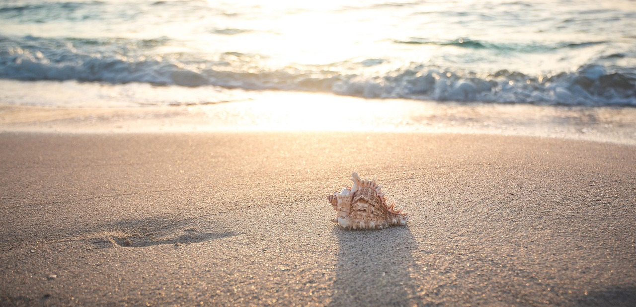 Beach Vacation Planning: How to Elevate a Coastal Trip With Premium Accommodations