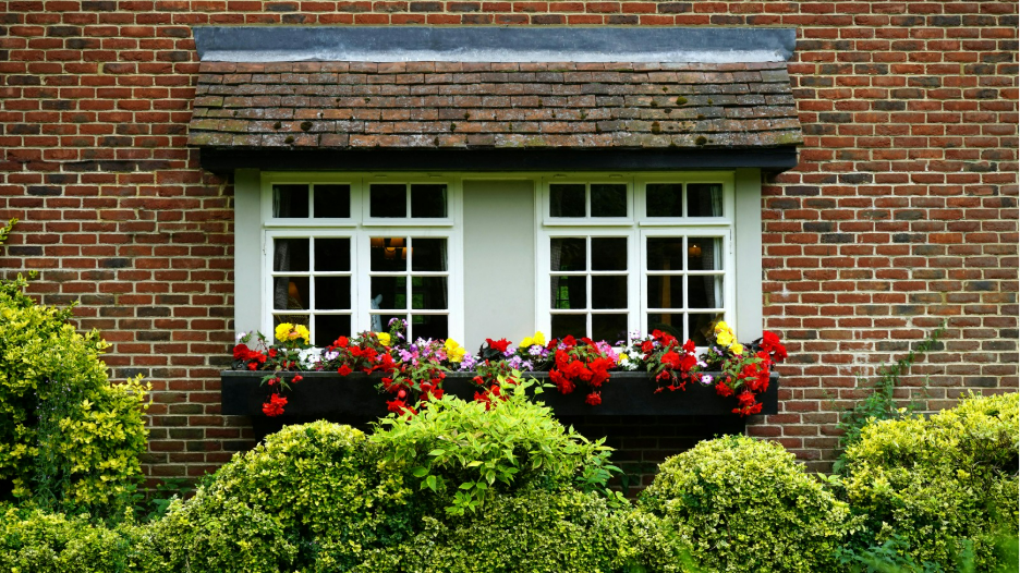 Creative Window Box Ideas to Elevate Your Home’s Exterior