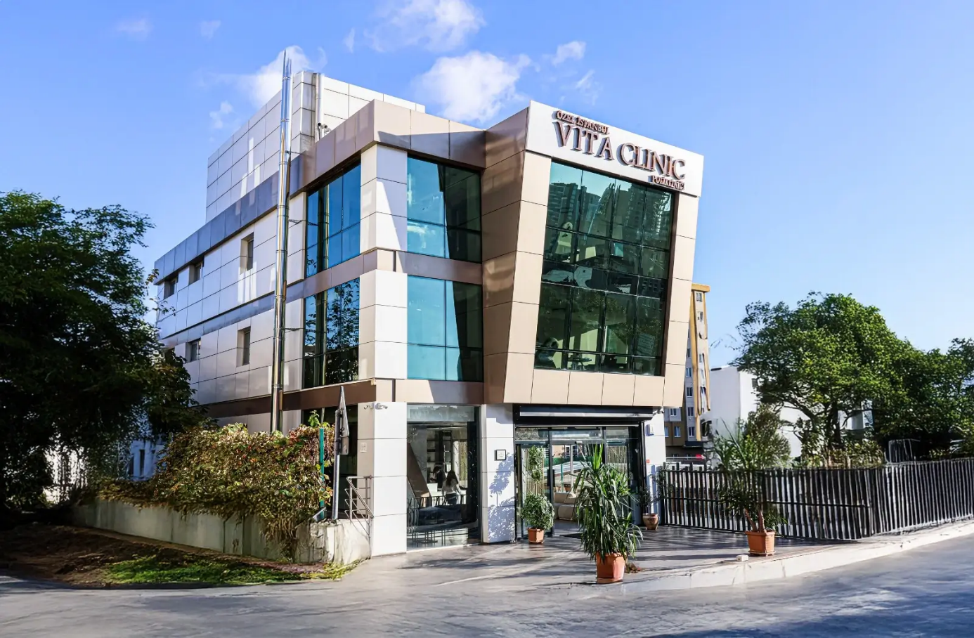 Best Afro Hair Transplant Clinic in Turkey | Istanbul Vita