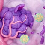 Understanding Tacabrutideg: Emerging Clinical Insights for Healthcare Professionals Managing Relapsed and Refractory B-Cell Cancers