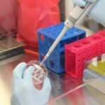 6 Leading Cell Line Providers Supporting Life Science Research