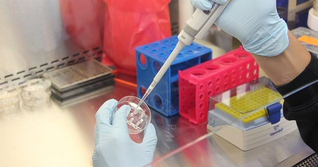 6 Leading Cell Line Providers Supporting Life Science Research